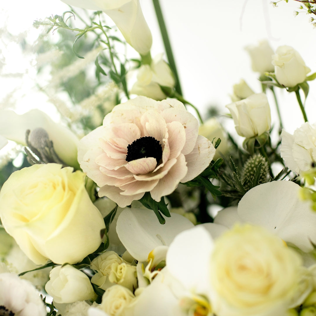 Anemones – Unico Flowers