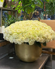Valentine Garden Roses 100 Ivory White Roses Premium Elegant Garden White Roses | Valentine Day Flowers