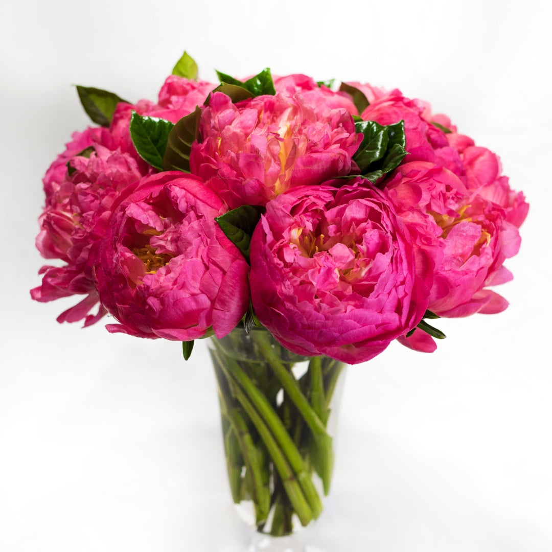 The Irresistible Charm of Peonies