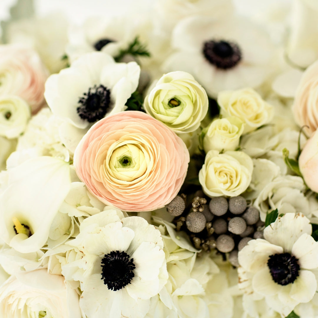 Ranunculus: Layers of Elegance in Every Petal